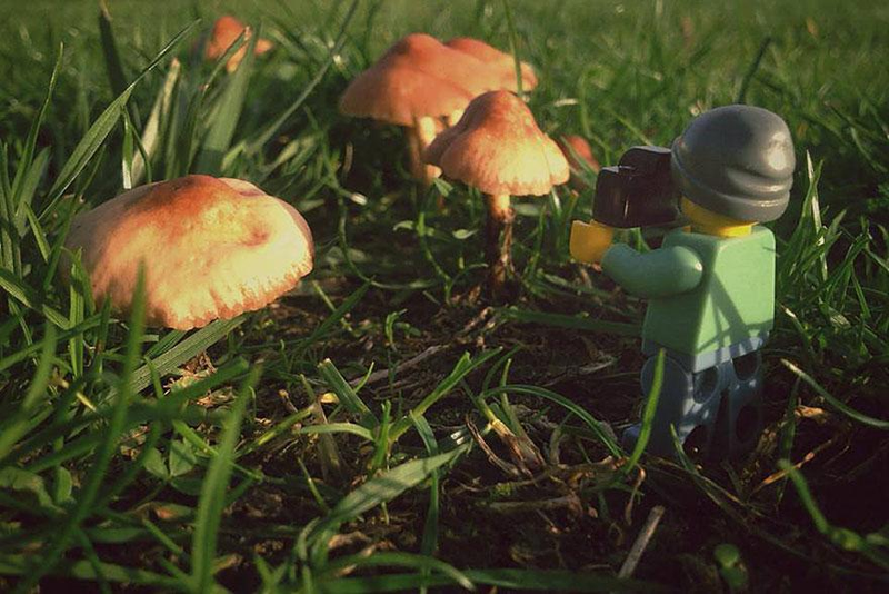 Illustration for article titled Intrepid Lego minifig goes around the world taking pictures